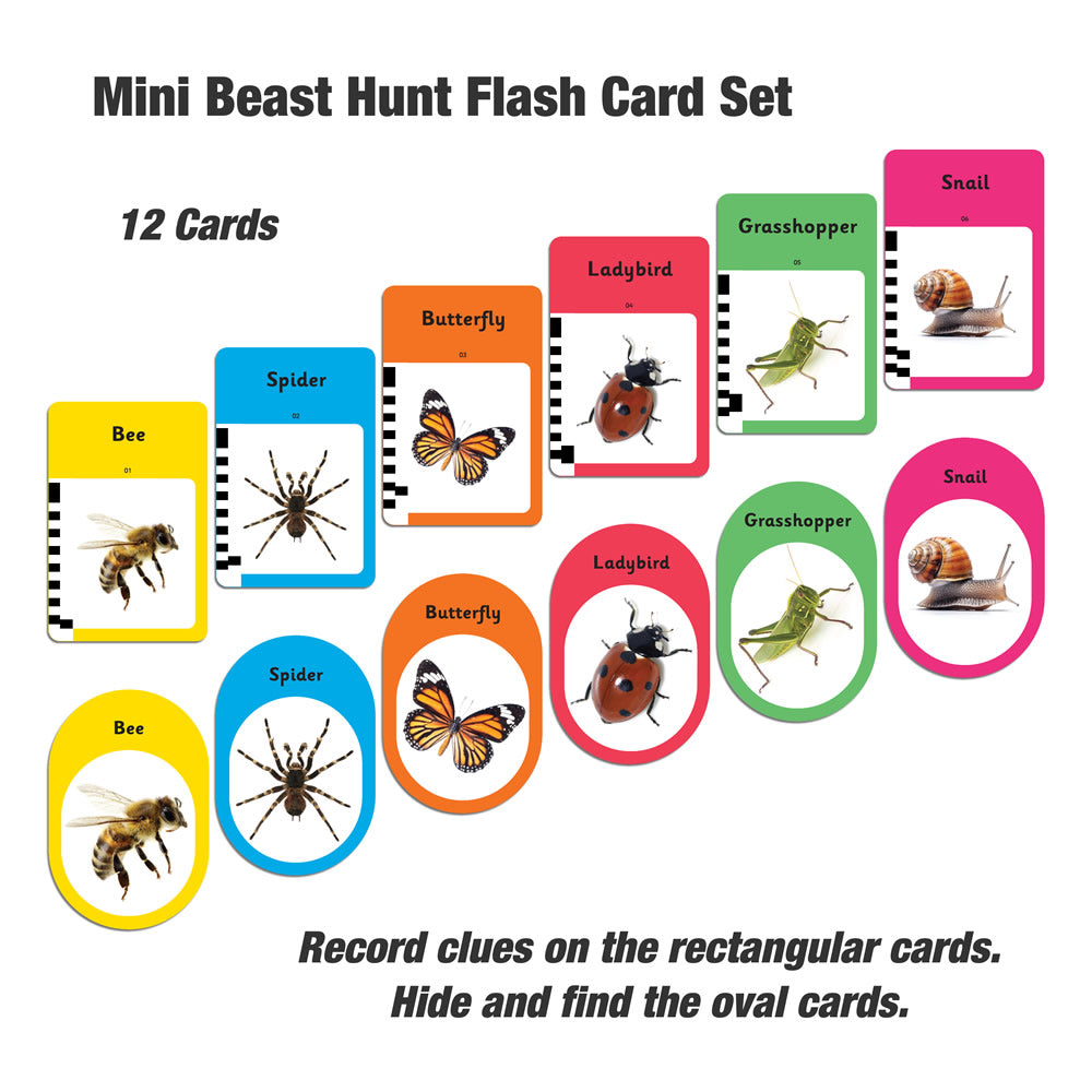 Mini Beast Hunt Flash Card Game