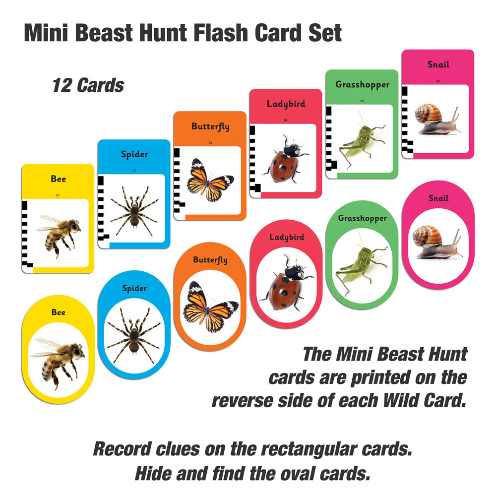 Mini Beast Hunt Flash Cards for Talking Flash Card Reader